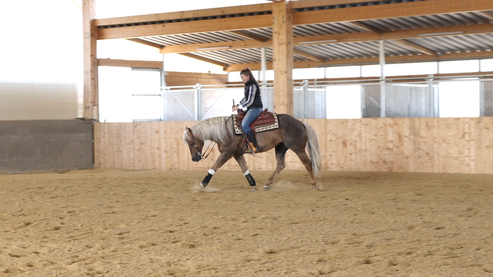 Ranch Riding: Übergänge mit Jasmin Andersdotter